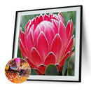 5D DIY Diamond Painting Flower Full Round Drill Embroidery Wall Art (QF315)