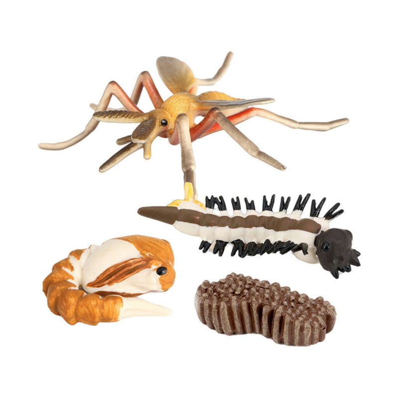 Realistic Life Cycle of Mosquito 4 Part Insects Hatchery Growth Figures Toys
