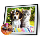 Cat Dog 5D Diamond Painting Embroidery DIY Cross Stitch Craft Home Decor