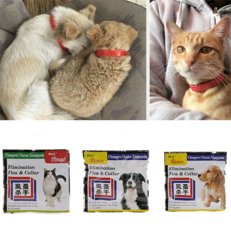 Utility Pet Dog Puppy Cat Elimination Flea Collar Anti-Flea Mosquito Trick Strap