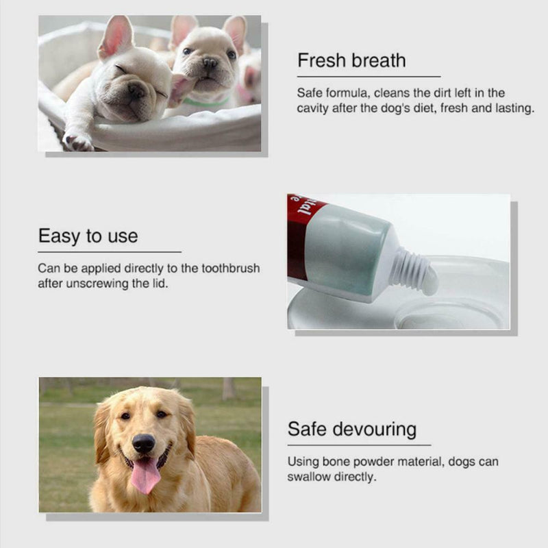All-Natural Toothpaste For Dogs Cats Best Solution For Bad Breath Control