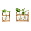 Glass containers, plant glass containers, modern decorative glass pots, hyd