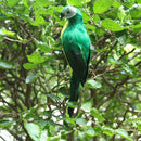 Realistic Parrot Artificial Feather Bird Animal Ornament Decor, Pack of 3