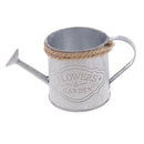 1X Decorative Garden Flower Container Display Bucket- Metal