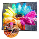 5D DIY Full Drill Diamond Painting Colorful Flower Cross Stitch Embroidery