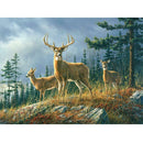 5D DIY Full Drill Diamond Painting Animals Cross Stitch Kit Wall Art (W288)