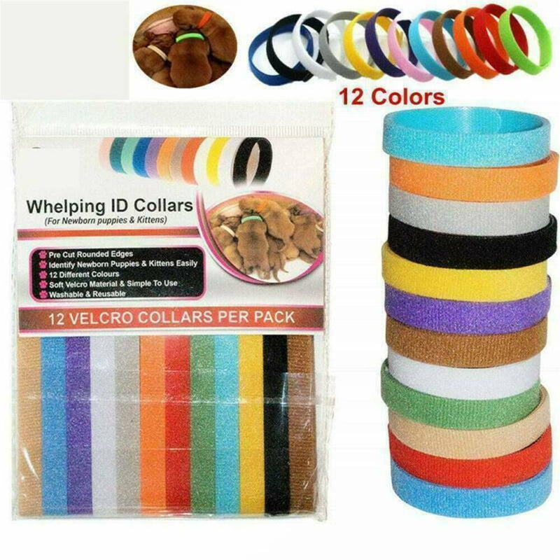 12pcs/set Adjustable Newborn Puppy ID Collar Pet Kitten Colors Cat Band Whelping
