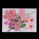 2x Multiple Pressed/Dried Leaves Flowers Scrapbooking Art Craft DIY Material