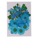 5 Kinds Flowers Natural Pressed Dried Flowers Pressed Leaves For Scrapbooking