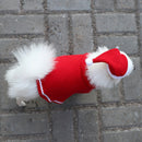 Christmas Dog Cloak Hat Set Pet Dog Coat Cape Dog Clothes Puppy ApparelB Ew