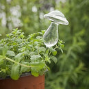 Snail +Mushroom Plant Flowers Water Feeders Self Watering Cute Plant Waterer