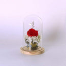 Transparent glass bell glass suction glass jars with wooden floor for flowe