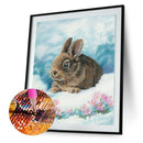 5D DIY Full Drill Diamond Painting Rabbit in Amazement Cross Stitch (B978)