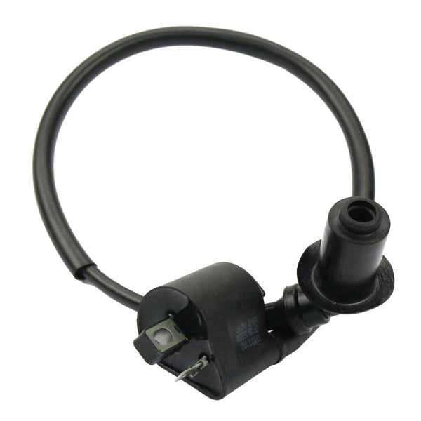 #0180-152000 Ignition Coil Module Replace Assy For