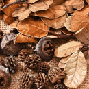 Natural Dried Flowers Pine Cone Acorn Artificial Flower Home Decoration
