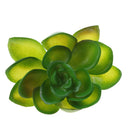 Artificial Plastic Succulents Plants Echeveria Flowers DIY Wall Decor Crafts