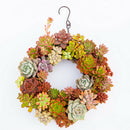 2Pcs Rustic Iron Succulent Wire Wreath Frame Plant Pot Outdoor Hanging Plants