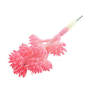 Simulation Succulents Plants DIY Edelweiss For Home Office Decoration Red