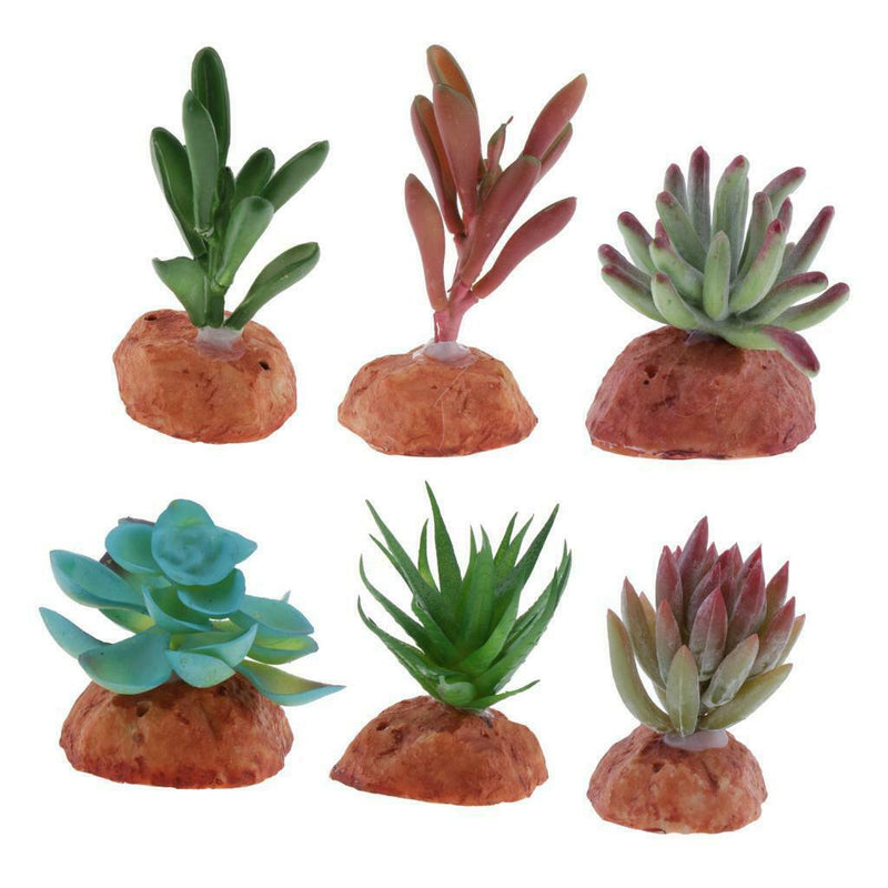6PCS Aquarium Fish Tank Plants Succulents Reptile Hideaway Decoration - Reptile
