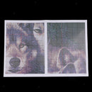 Counted Cross Stitch Kits Two Wolves 14CT Without Pre-printed Fabric 44x51cm