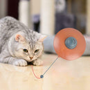 Turntable Intellectual Interactive Plastic Pet Cat Amusement Plate Toys A