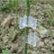 100Pcs Garden Plants Seedling Tools Fruit Vegetable Grafting Clips