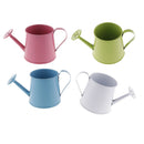 4pcs Pastoral Colorful Metal Tin Flower Pot Mini Bonsai Watering Kettle Can