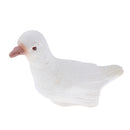 Magic Simulation Pigeons Prank Toys Novelty Tricks for Beginners Kids 4 5 6 7 8