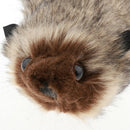 Magic Trick Rocky Raccoon Prank Props Gimmicks for Close Up, Stage, Street Magic