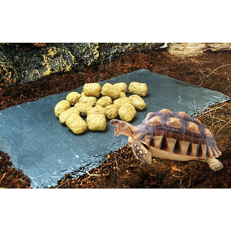 Turtle Rock Food Dish Basking Rock Feeding Platform Resting Basking Rectangle