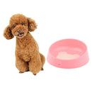 Durable Nylon Rope Dog Puppy Pet Training Leash with Clip for Collar Harness+Cat