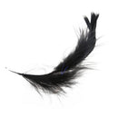 Feather of Boa Black Fluffy Decoration Craft 6.6 Feet Long