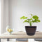 Retro Barrel Planter Indoor Outdoor Flower Pot Plant Pot for Home Office Cafe