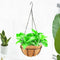 Black Growers Hanging Basket Planter with Chain Flower Plant Pot Home Garde