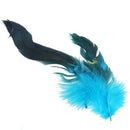 50 Beautiful cock feathers 12-18cm / 4-7inch blue K2S7