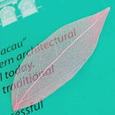 50Pcs Natural brier Leaves Card Scrapbook - Pink L2Q9