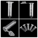 100Pcs 2ml Clear Plastic Vials Container Snap Cap Centrifuge Tubes Vials Sample