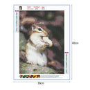 5D DIY Full Drill Diamond Painting Squirrel Cross Stitch Mosaic Kit (QF116)