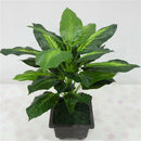 Lifelike 40CM Evergreen Artificial Plant Bush Potted Tree Flower Simulati D P7X7