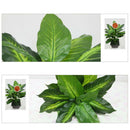 Lifelike 40CM Evergreen Artificial Plant Bush Potted Tree Flower Simulati D P7X7