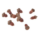10 pieces of beautiful acorns mini dried oak nuts fruits home wedding christmas