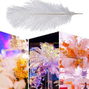 1Pcs DIY White Natural Ostrich Feathers Decoration Wedding Party Decor New R4S7