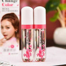 HOT Longlasting Lip Gloss Change Color Liquid Lipstick J3O6 Moistourize Lip X6G0