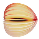 Fruit Writing Stationary Memo Notepad - Peach