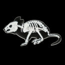 Acrylic Transparent Badges Brooches Animal Skeleton Lapel Pins (Style 6) A