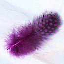 50pcs Mixed Color Simulation feather S7X1