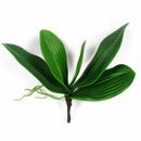 Artificial flower, leaves of Phalaenopsis (moth orchid), leaf / green (gree U7E6
