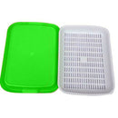 Seed Sprouter Tray Double-layer Soilless Culture Beans Hydroponic Nursery Tray