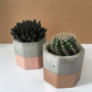 3 Cavity Silicone Pot Mold Clay Concrete Succulent Flower Cement Pot Cup Mou Nw