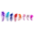 50 Dyed Guinea Fowl Feather Natural Fishing Millinery Craft DecorationOZ
